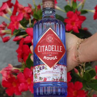 Citadelle rouge 1